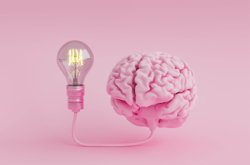roze lamp en achtergrond.jpg