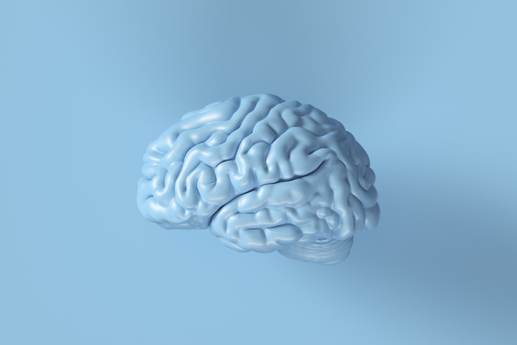 Hersenen - blauw