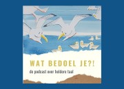 Podcastrecensie: Wat bedoel je?! Dé podcast over heldere taal