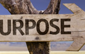 Purpose705x220.jpg