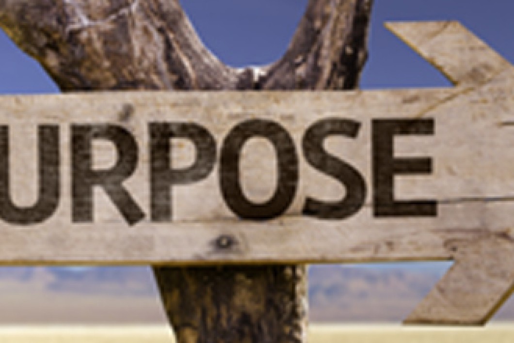 Purpose705x220.jpg