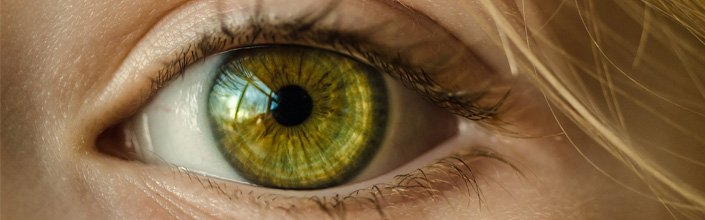Oog 705x220.jpg