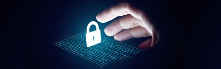 cybercrime705x220.jpg
