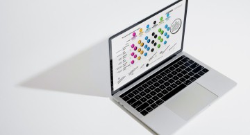 Beroepsniveauprofielen