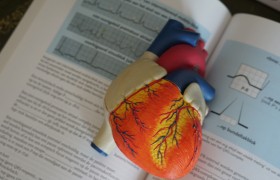 Healthcare book.jpg