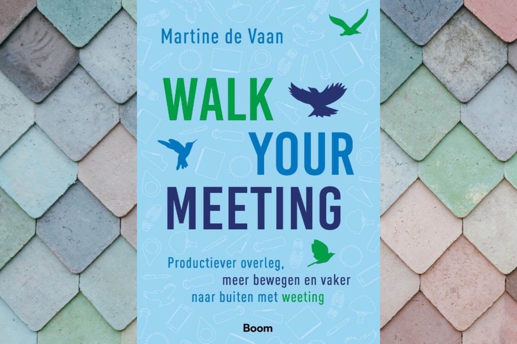 Walk_your_meeting_boekrecensie.jpg