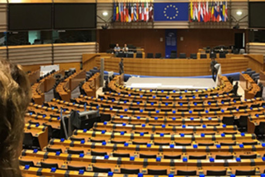 Brusselreis 2019 705x220.jpg
