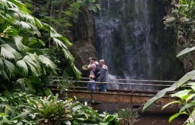 landscape zoo.jpg