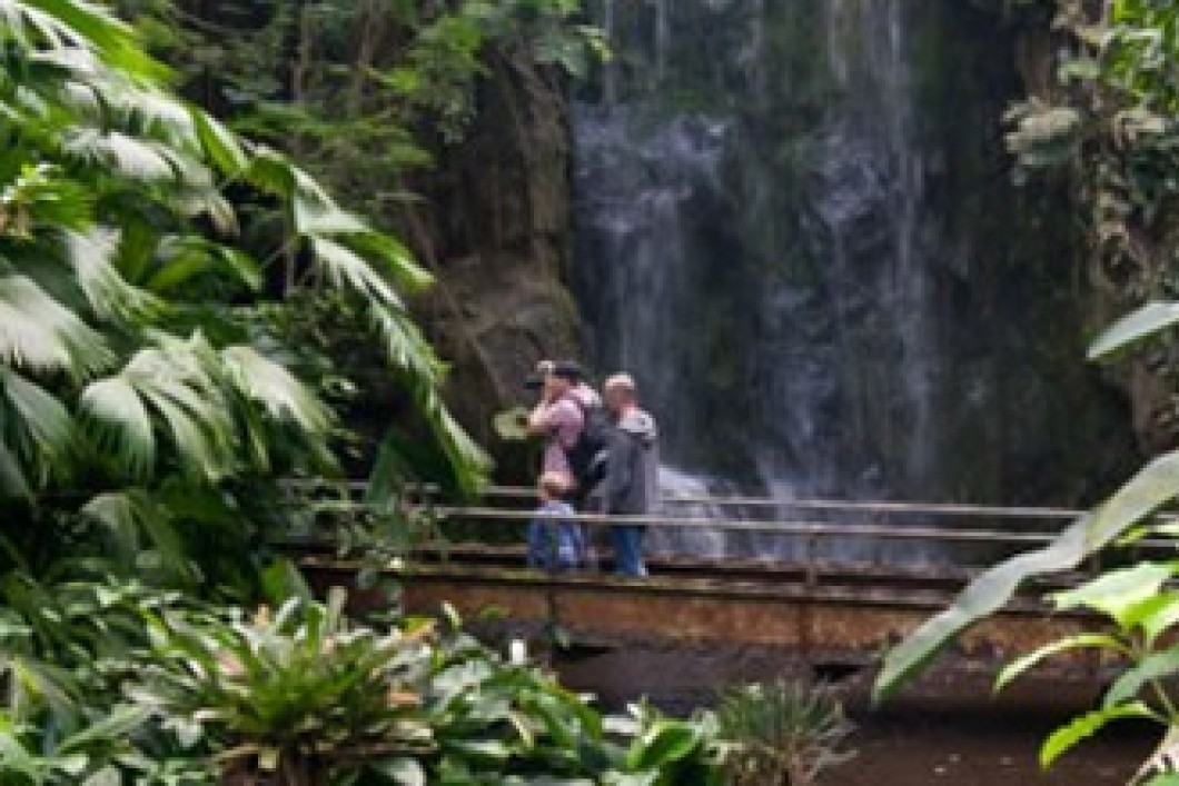 landscape zoo.jpg