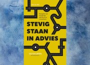 Recensie: Stevig staan in advies - Bas van Gils