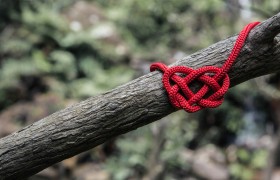 Tying knot together.jpg
