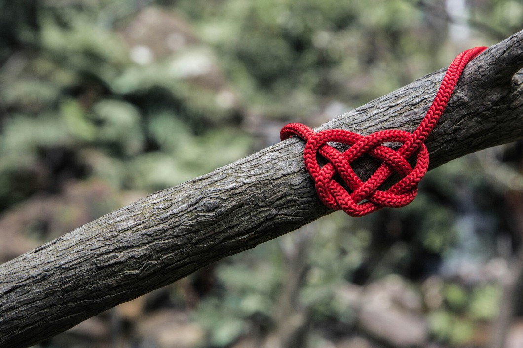 Tying knot together.jpg