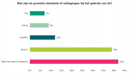 Wat zijn de grootste obstakels of uitdagingen bij het gebruik van AI